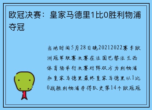 欧冠决赛：皇家马德里1比0胜利物浦夺冠